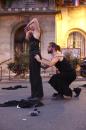 Les oignons 10 * 5184 x 3456 * (6.54MB)